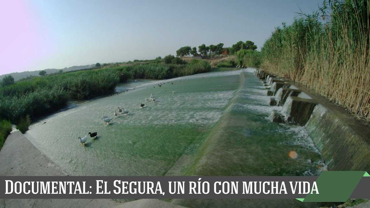 El Segura, un río con mucha vida