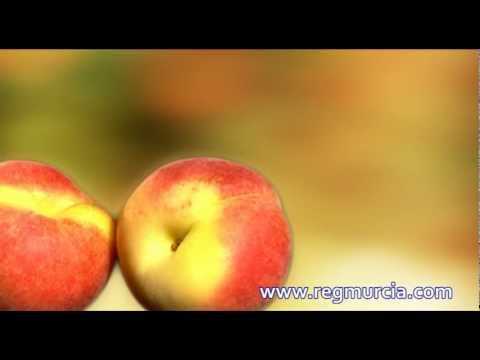 Frutas y Hortalizas: El Albaricoque