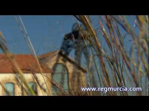 Puesta en valor del patrimonio de La Unión