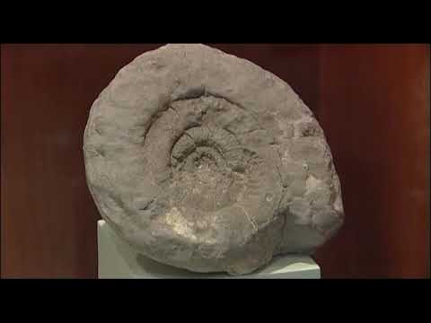 Siyasa, visita al museo