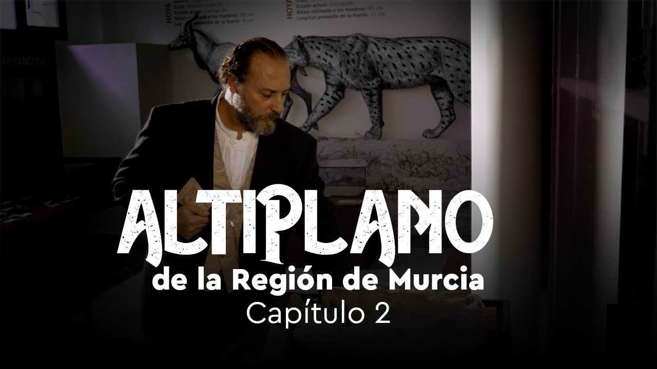 ALTIPLANO de la Región de Murcia-Cap.2