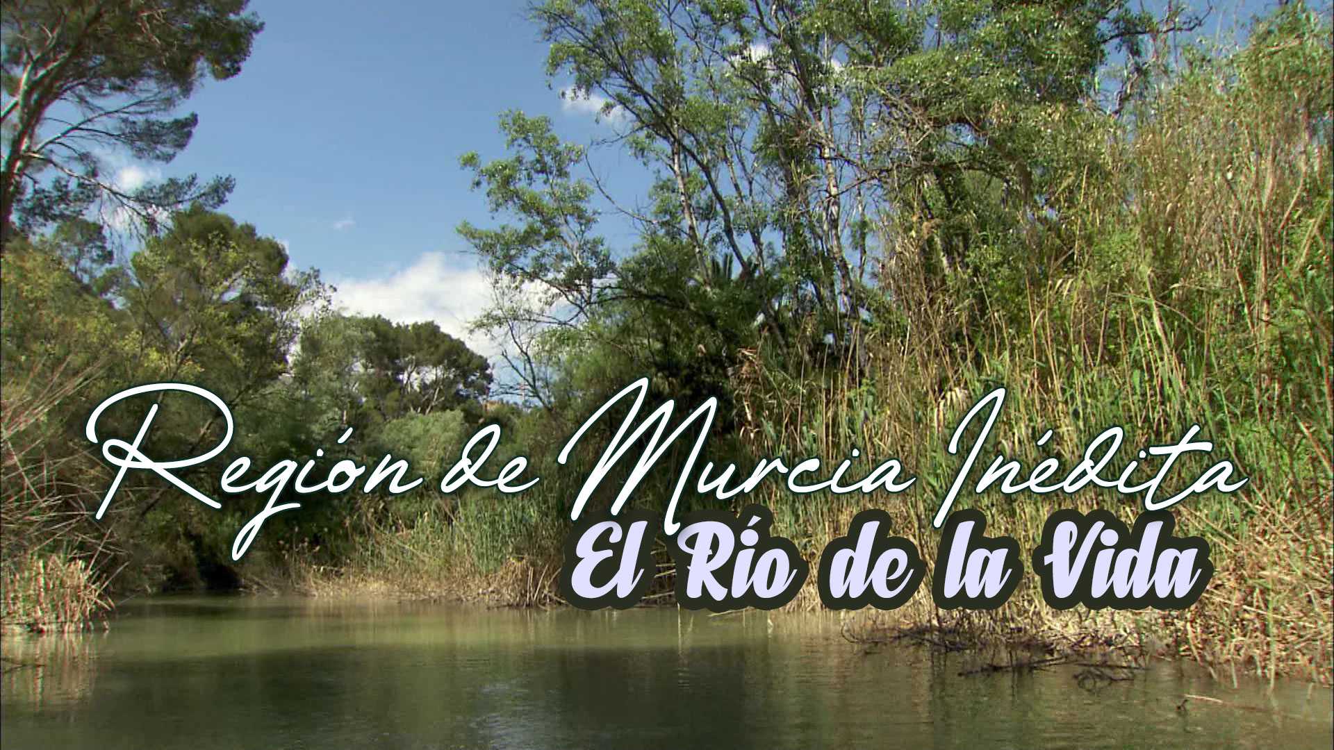 El Río de la Vida