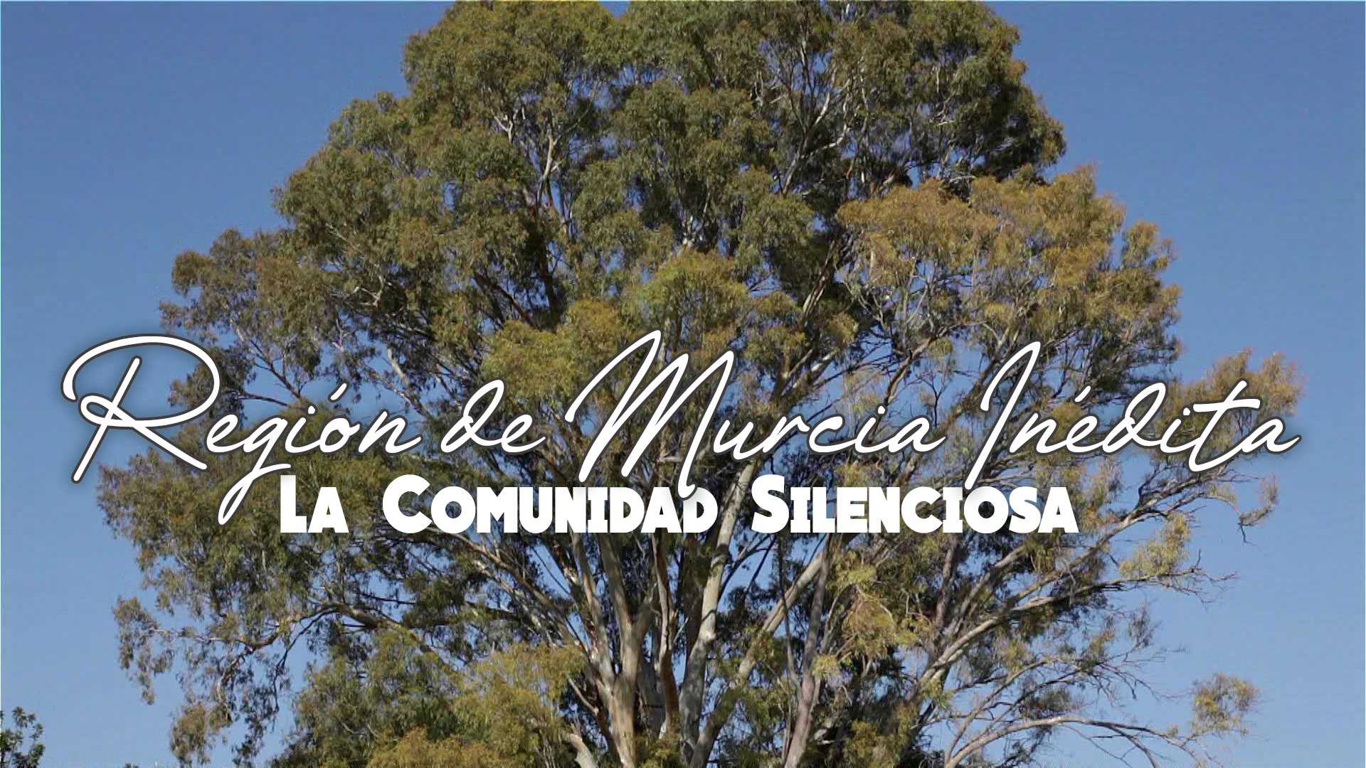 La Comunidad Silenciosa