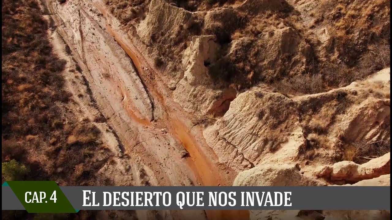 Capítulo IV: El desierto que nos invade