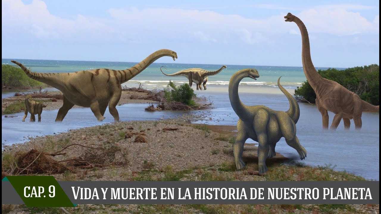 Capítulo IX: Historia de nuestro planeta