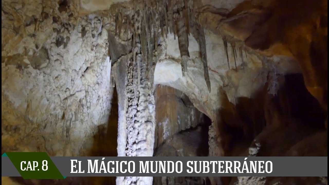 Capítulo VIII: El mágico mundo subterráneo