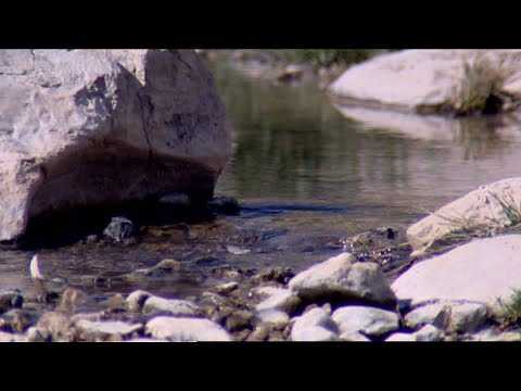 Fortuna, museo del tiempo