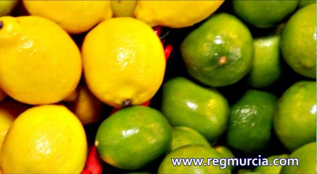 Frutas y Cítricos: el Limón