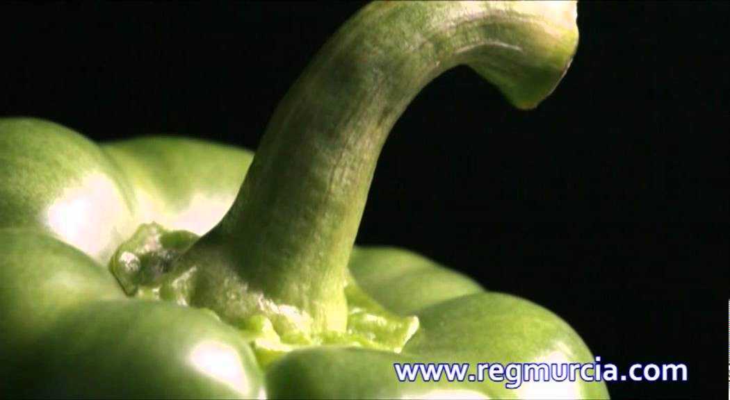 Frutas y Hortalizas: el Pimiento