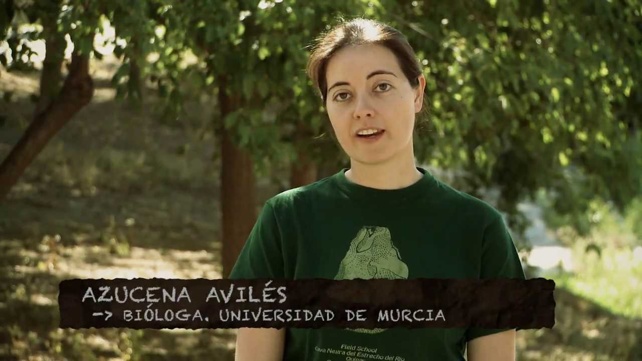 La Cueva Negra – Excavando