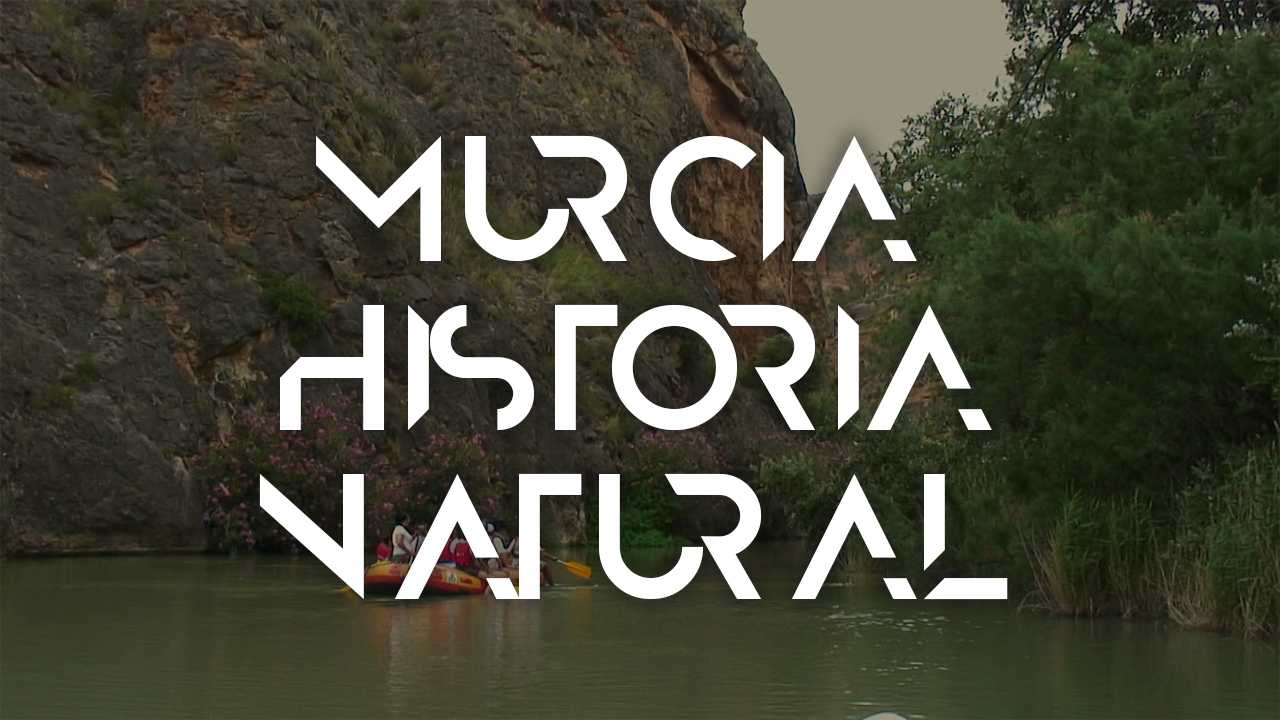 MURCIA HISTORIA NATURAL