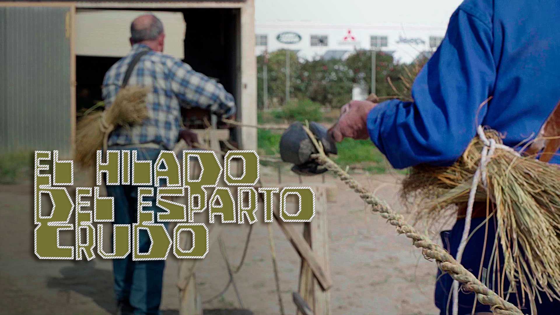 EL HILADO DEL ESPARTO CRUDO