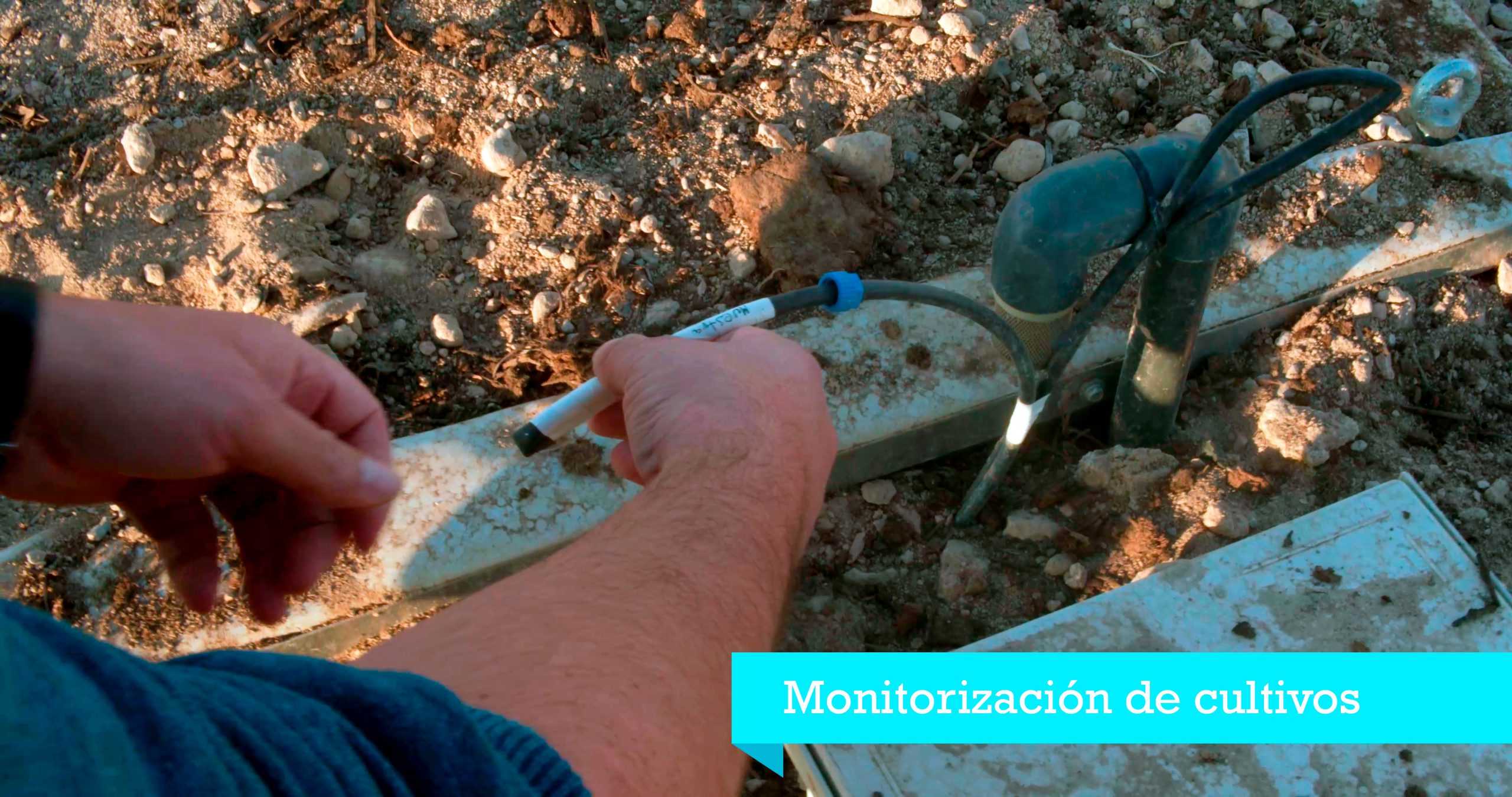 Monitorización-de-cultivos-2